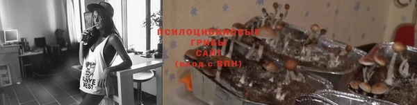 ешки Новозыбков