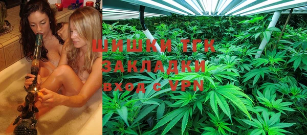 бошки Новодвинск