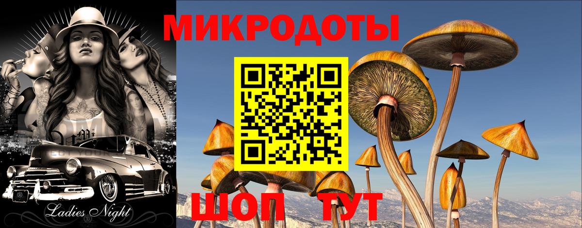 Псилоцибиновые грибы Psilocybine cubensis  где найти   Шуя  Вход с VPN 