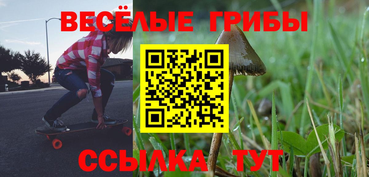 Псилоцибиновые грибы Psilocybine cubensis Шуя